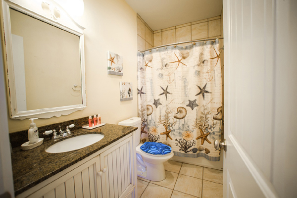 small seascape bathroom ideas blue toilet seat lid covers