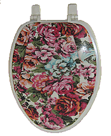 toilet seat lid cover from skirt